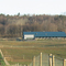 Tadpole Lane Farm LLC