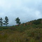 Allegheny Front Trail - Threatening skies