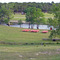 Camp Honey Creek