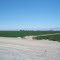 Agriculture in Dell City,TX