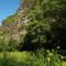 Nockamixon Cliffs with Wildflowers - Tinicum, Pennsylvania - USA