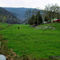 Highland Springs, Grainger County, TN