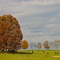 Tennessee Hillside