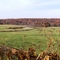 Tennessee Countryside