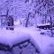 frosty