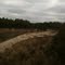 Wolf river beach