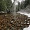 Coleville National Forest, Early Winter