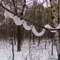 The  autumn snow snakes in Rostov-on-Don. All snow snakes are under the TAG of 'snow snakes'. Welcome!