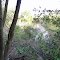View of sun-drenched meandering Bayou from  the edge of the "cliff"