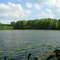 Spring Park Lake