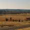 Farm to Market Road 322...just south of Palestine