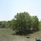 LBJ 66 4/15/2011 360 View