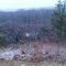 Snowstorm in the Caddo Grasslands
