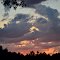 Dino Valley TX 3