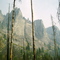 Fire in the Bitterroot