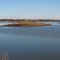 Sandhill cranes (Grus canadensis) over Beehunter Marsh