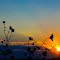Fired Sunset