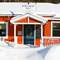 Cozy Bear '06