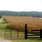 Nelson County, Virginia