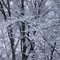 Unexpected snow in Va, Spring 2007