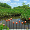 Occoquan Bay National Wildlife Refuge