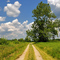 Occoquan Bay National Wildlife Refuge
