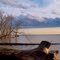 View of the Potomac River - Leesylvania State Park, Prince William County, VA.