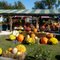 Berry's Produce - Hanover County VA
