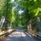 One Lane Bridge, Hanover County, VA.