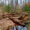 North Anna Battlefield Park, Hanover County, VA.