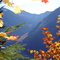 View from Granite Mountain trail, autumn