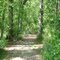 Trail at Haw River