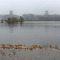 Chehalis River flood - 200901LJW
