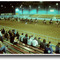 Grays Harbor County Fairgrounds Pavilion - 199808