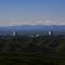 Nuclear Forest