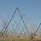 trellis fields