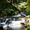 Falls on Hagon Creek