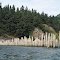 Channel-control pile dike array