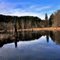 McLane Creek Beaver Pond