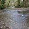 McLane Creek