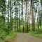 Campground Road