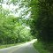 Waddell Creek Road