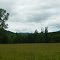 Black Hills