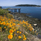 Charles Island from Richardson, Washington