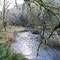 Colquallum River in autumn