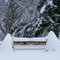 snow fall of 12/2009