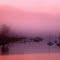 Gig Harbor Fog
