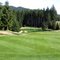 Gold Mountain, Olympic Course, Hole 12, Par 3, 251 yds
