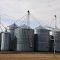 Cadott Grain Service
