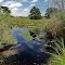 Tom Lawin Wildlife Area